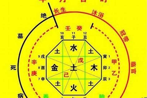 今天的八字|生辰八字算命、五行喜用神查询（免费测算）